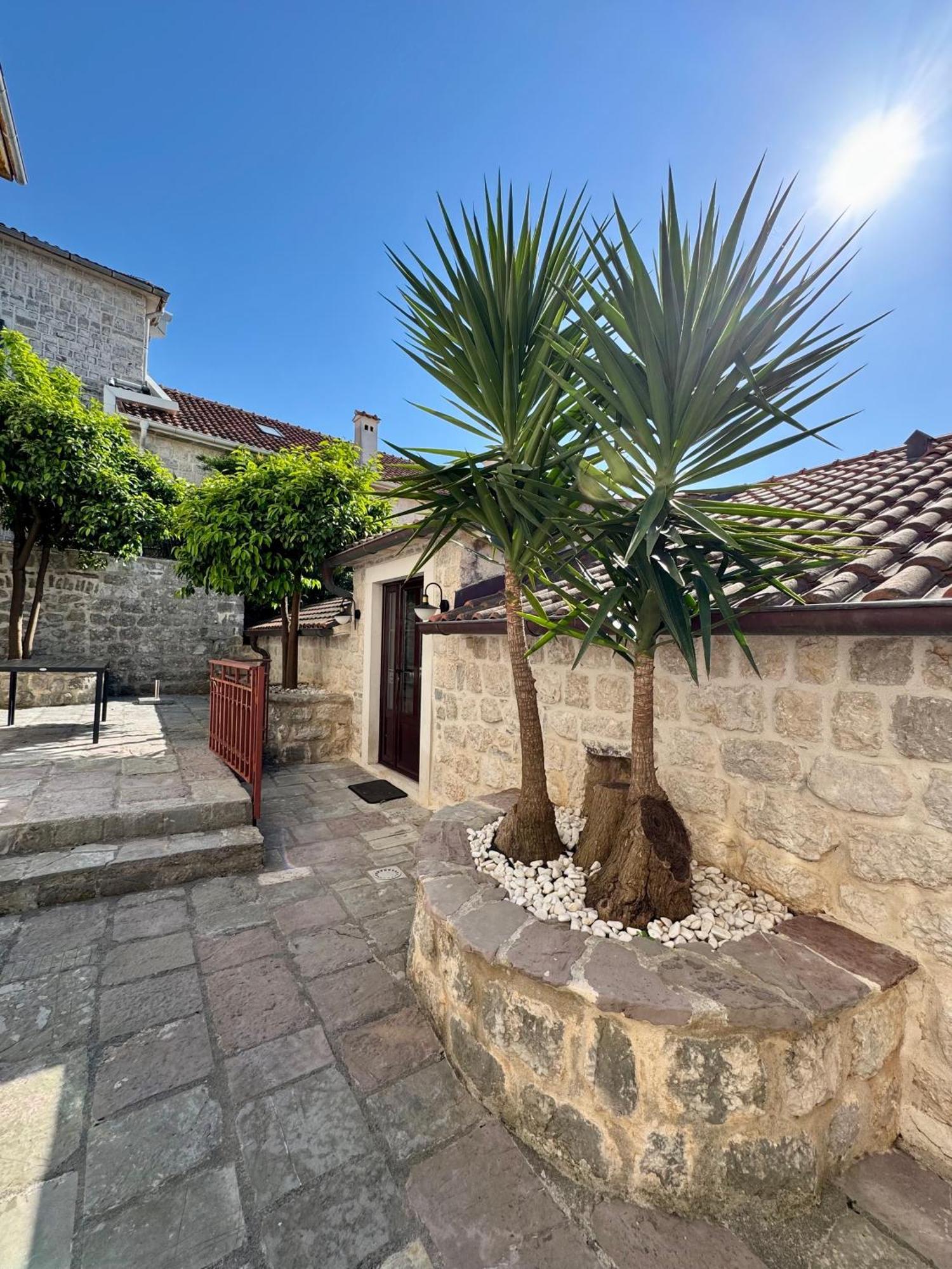 Apartments Radonicic Κότορ Εξωτερικό φωτογραφία