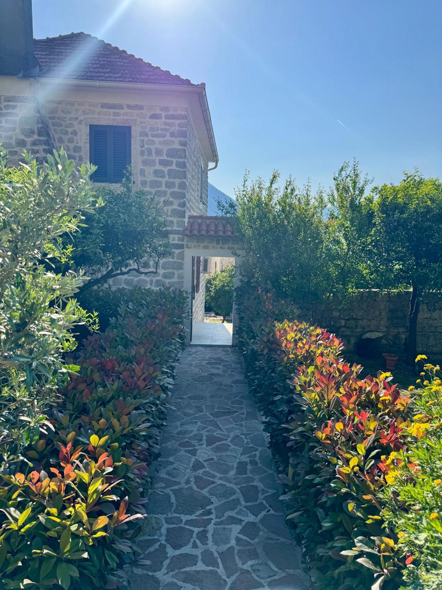 Apartments Radonicic Κότορ Εξωτερικό φωτογραφία